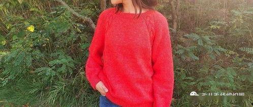 成人毛衣裙视频在线观看