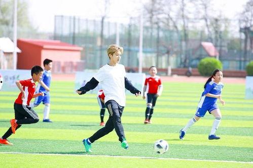 成人踢球视频大全播放,成人踢球视频大全精彩瞬间回顾