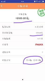 成人乱视频软件,暗流涌动的网络迷局