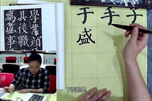 成人如何练书法视频讲解