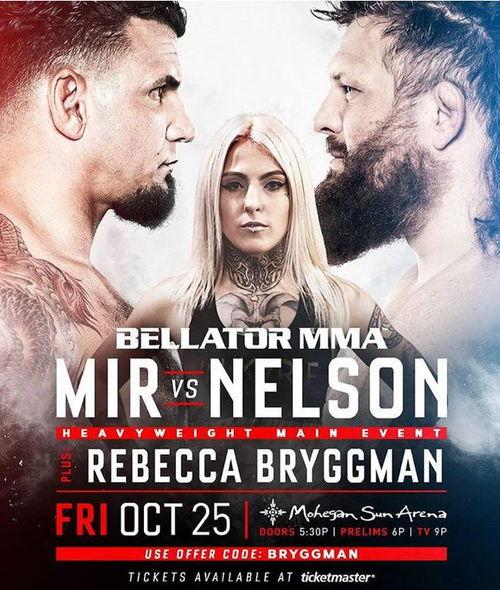 成人女人搏击比赛视频,成人女性搏击盛宴