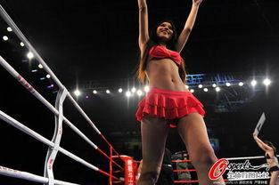 成人女人搏击比赛视频,成人女性搏击盛宴