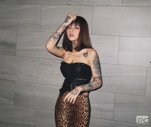 深夜福视频成人,揭秘成人生存法则与智慧