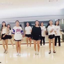 居家成人舞蹈视频大全集,全方位成人舞蹈视频大全集精选