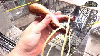 新款升级成人弹弓视频,体验极限射击的极致快感