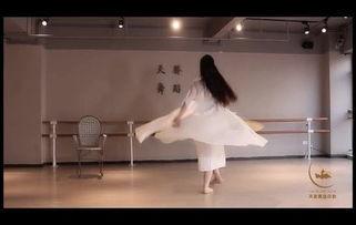 复古成人舞蹈视频教学大全,重温经典舞步，唤醒舞动灵魂