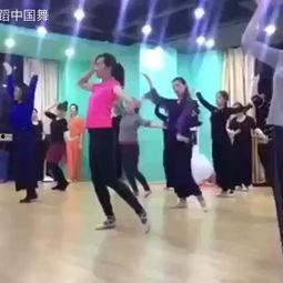 瑜伽舞成人舞蹈视频大全,成人舞蹈视频大全精选集