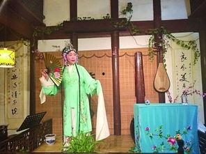 成人学琵琶评弹视频,跟随视频学习琵琶与评弹艺术之旅