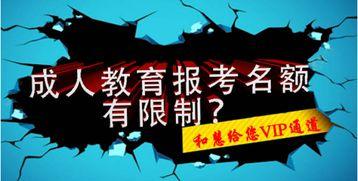 成人教育视频播放加快