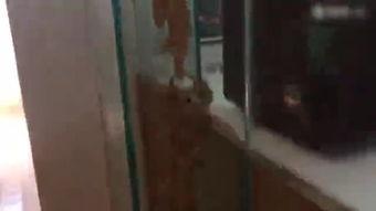 泰国成人秀免费视频,背后真相与争议