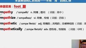 成人学英语最简单视频,成人学英语必备视频教程