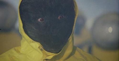 恐怖老鼠变成人了视频,恐怖老鼠逆袭成人，揭秘神秘异变之谜