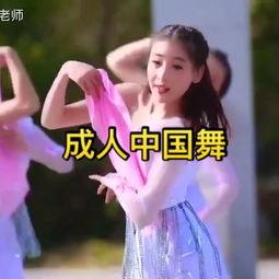 成人舞蹈古典视频大全,成人舞蹈古典视频大全精选回顾