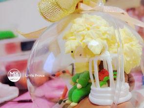 成人轻黏土教程视频大全,视频大全精华汇总