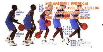 成人篮球套装直播视频,揭秘成人篮球套装直播现场精彩瞬间